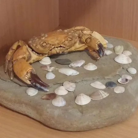 One-bedroom In Слънчев бряг